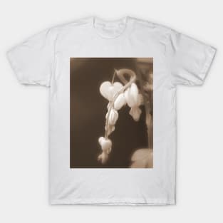 white bleeding hearts sepia T-Shirt